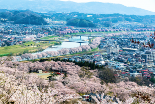 婚活のプロが本気で比較！仙台での婚活を成功させるための全手段