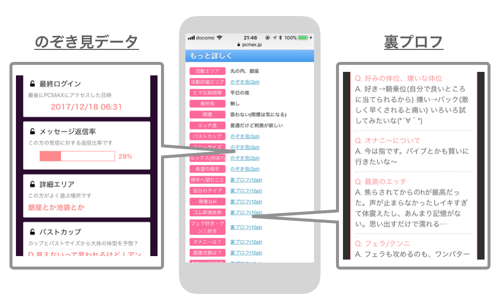 PCMAXののぞき見データ・裏プロフ