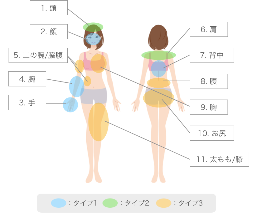 タイプ別女性の部位