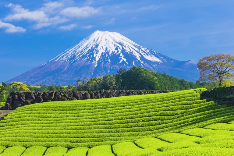 静岡　出会い