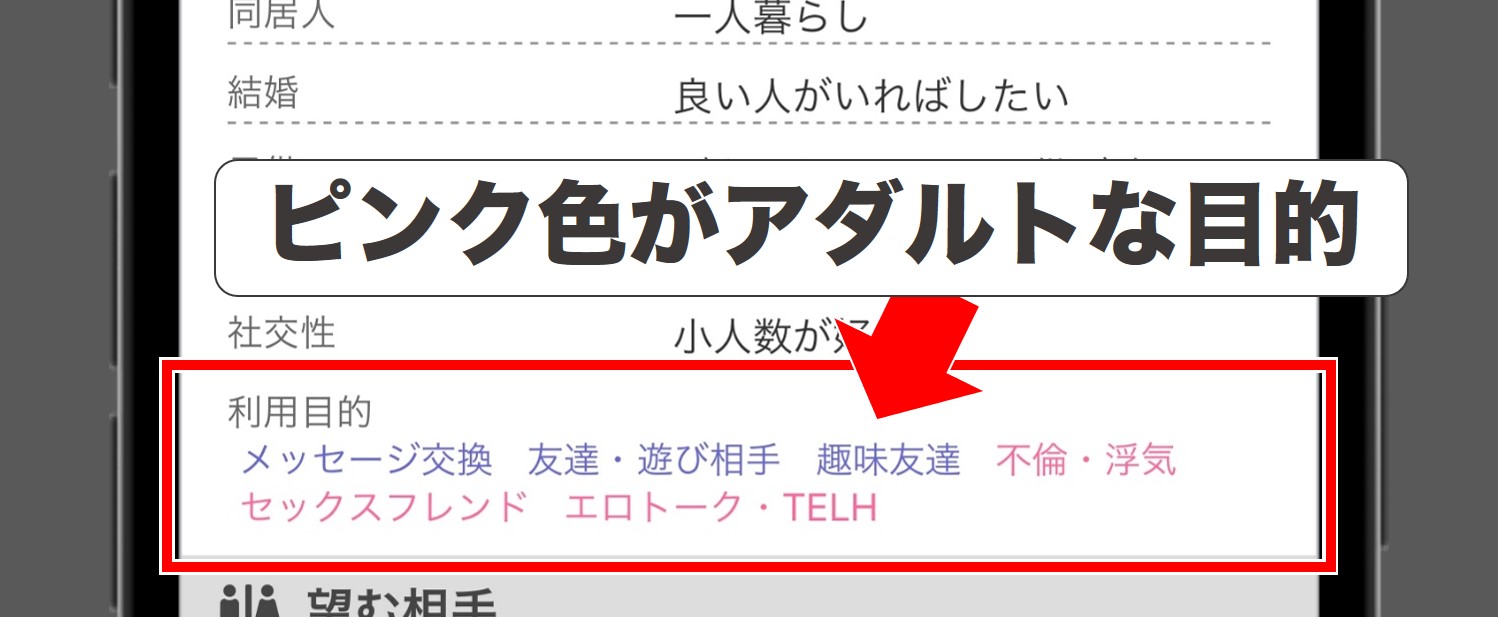 PCMAXでアダルトな目的を設定している業者の例